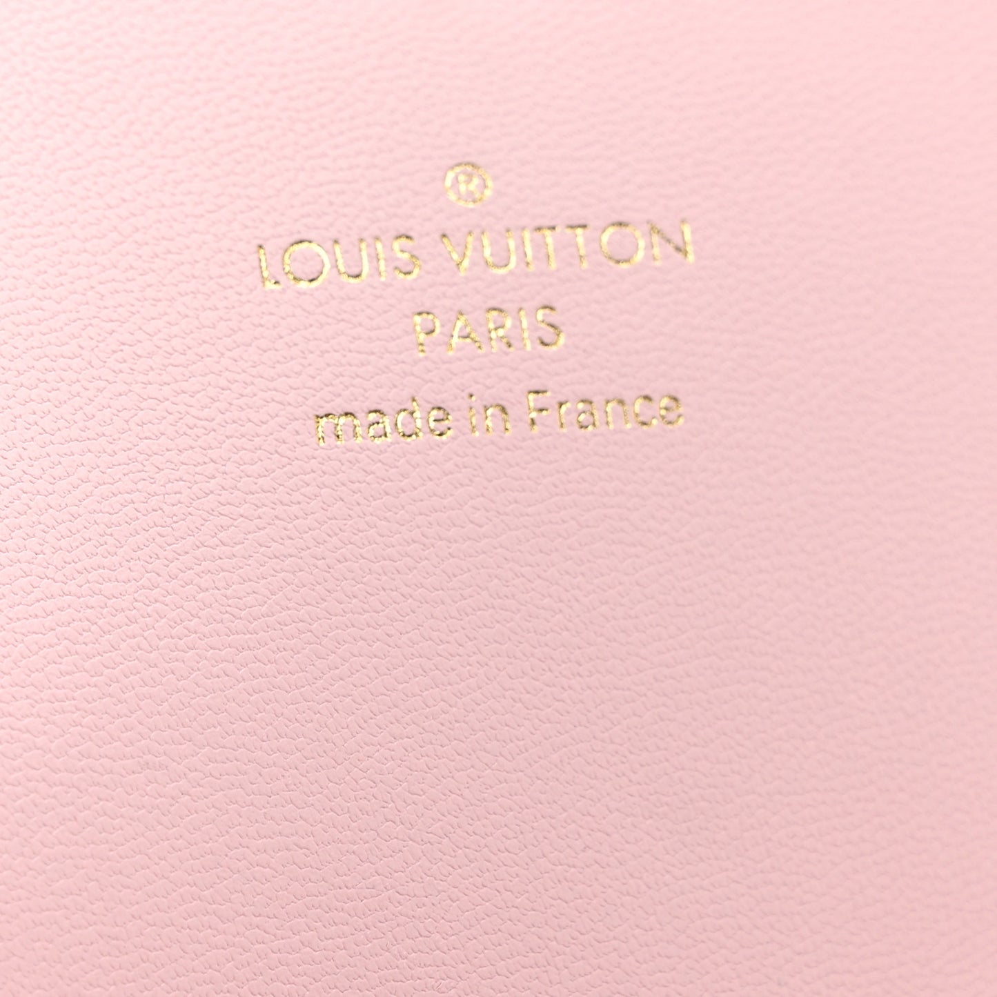 Monogram Giant By The Pool Large Kirigami Pochette Pink