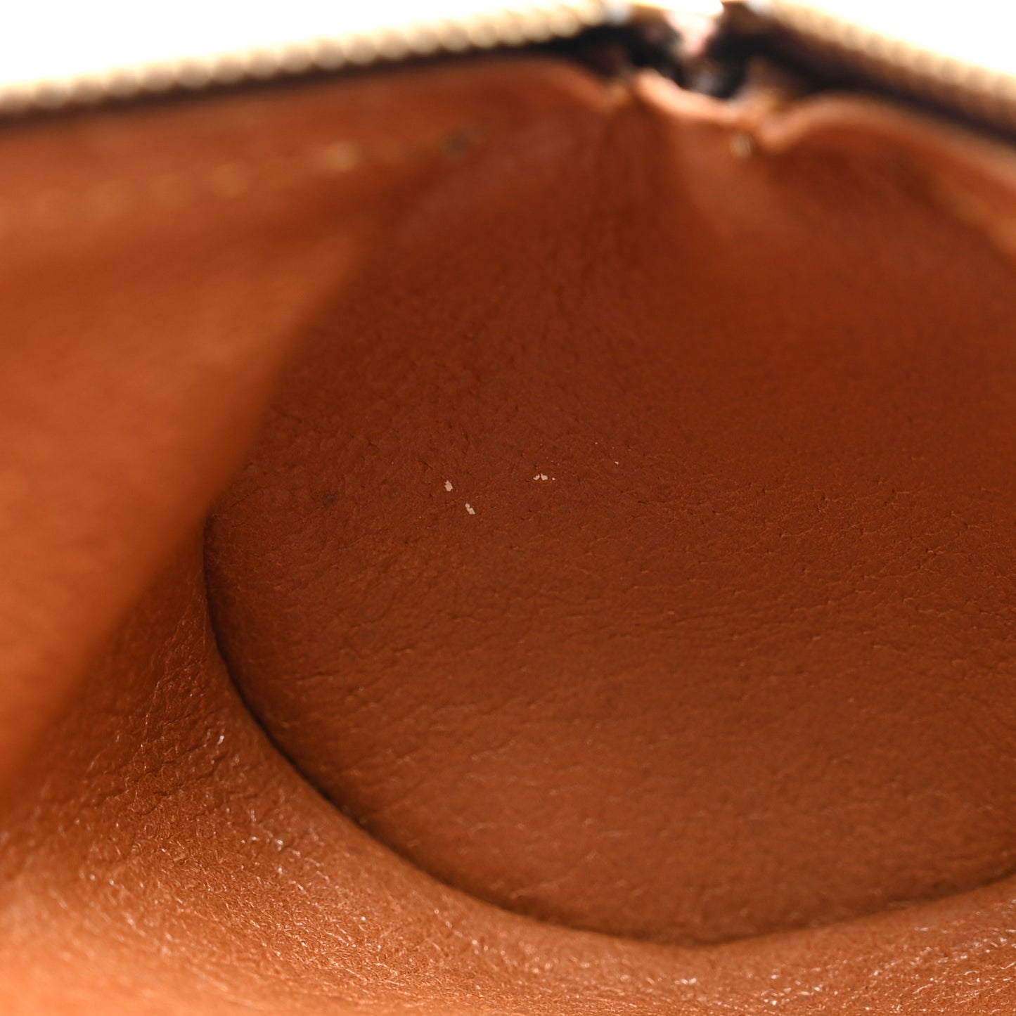Monogram Mini Papillon