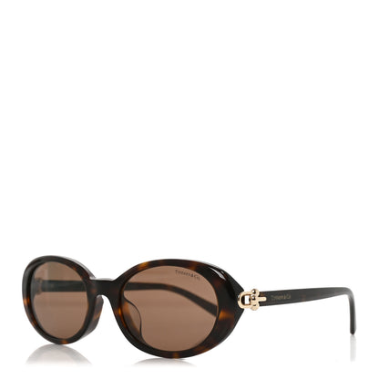 Tiffany Acetate Hardwear Oval Sunglasses TF4242D Tortoise Brown 1 of 7