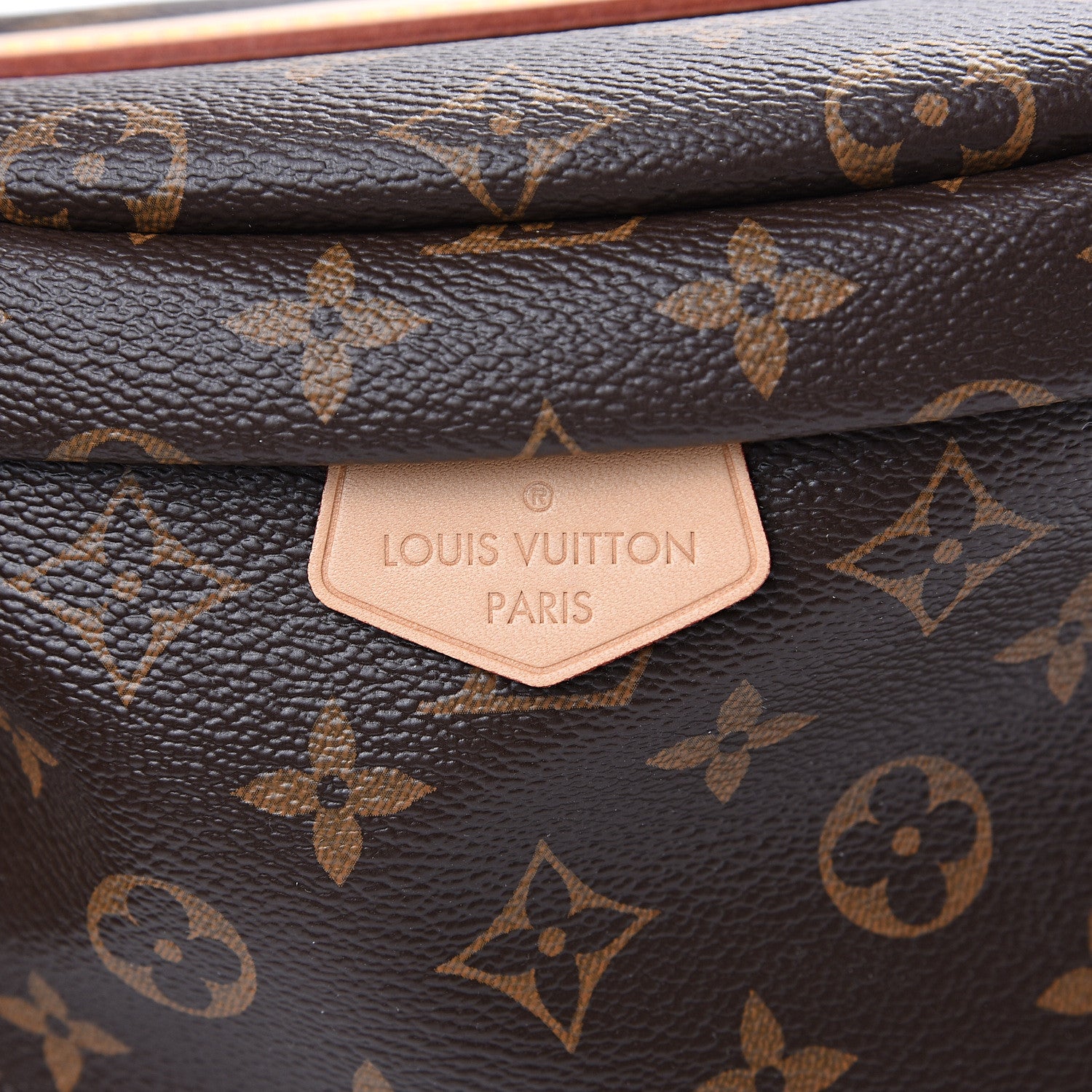 Louis Vuitton Monogram Bumbag 5 of 10