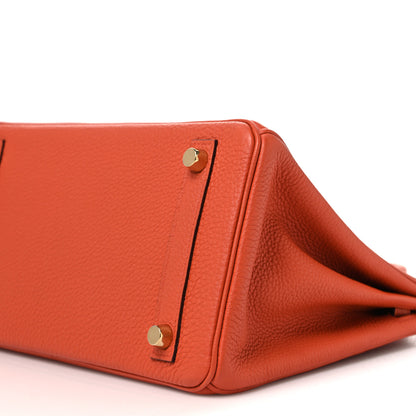 Hermes Togo Birkin 25 Terre Battue 10 of 10