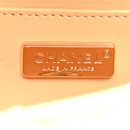 Chanel Iridescent Snakeskin Mini Rectangular Flap Beige 6 of 10