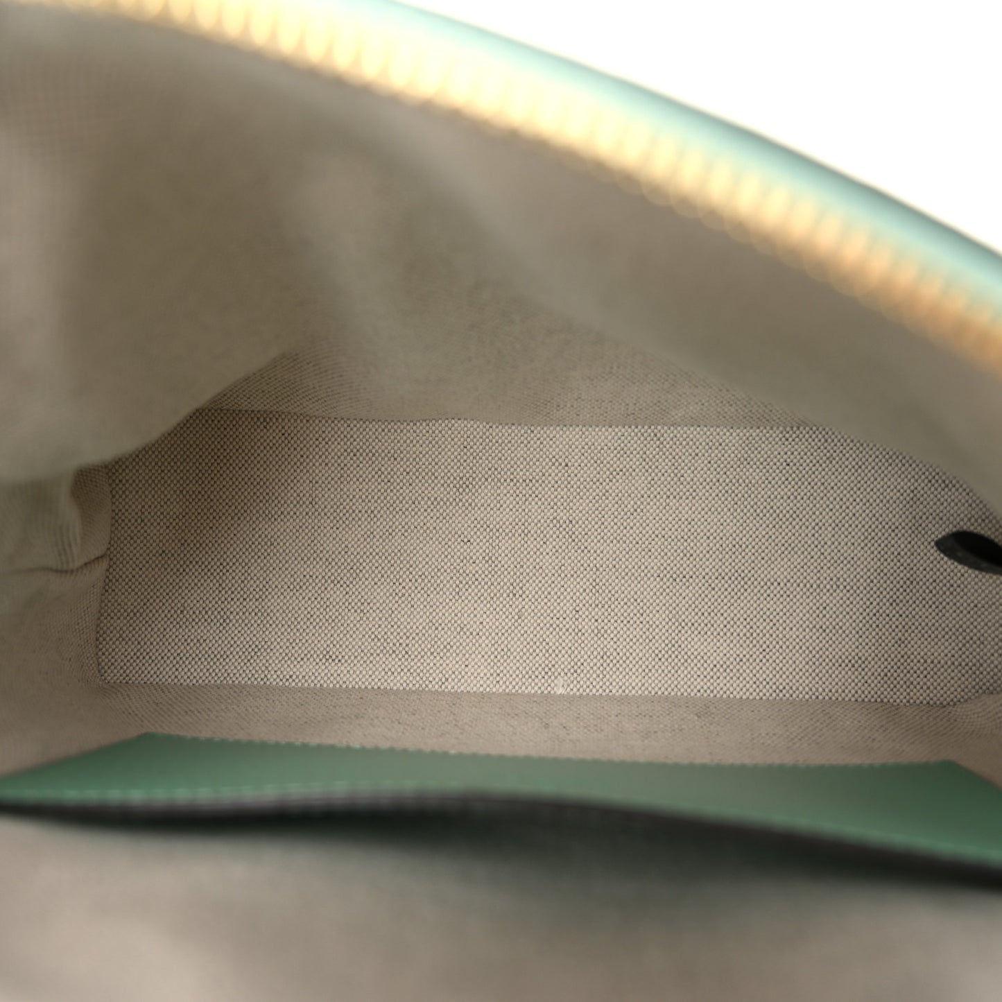 Monogram Jumbo GG Textured Dollar Calfskin Small Ophidia Dome Shoulder Bag Beige Pepperlight Mint