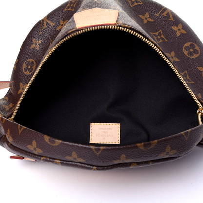 Louis Vuitton Monogram Bumbag 8 of 21