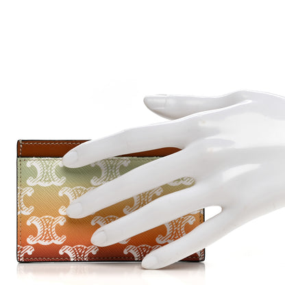 Celine Triomphe Canvas Card Holder Multicolor 2 of 7