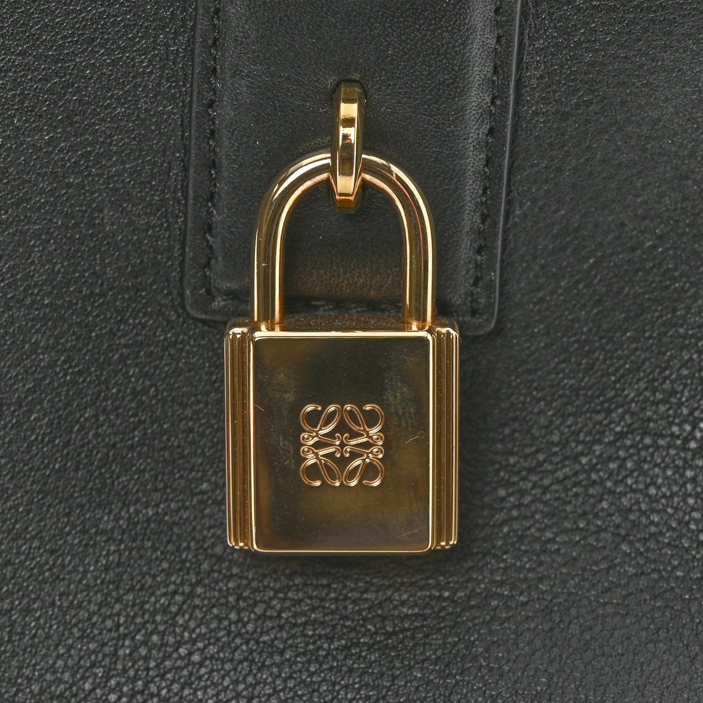 Calfskin Amazona 19 Black