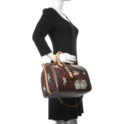 Louis Vuitton Catogram Speedy Bandouliere 30 Marron 3 of 10