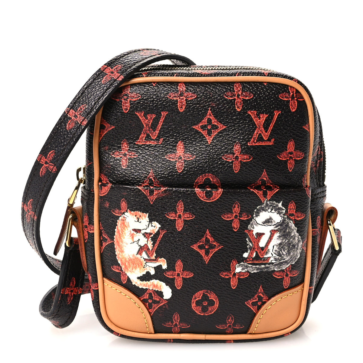 Louis Vuitton Catogram Small Paname Marron 1 of 10