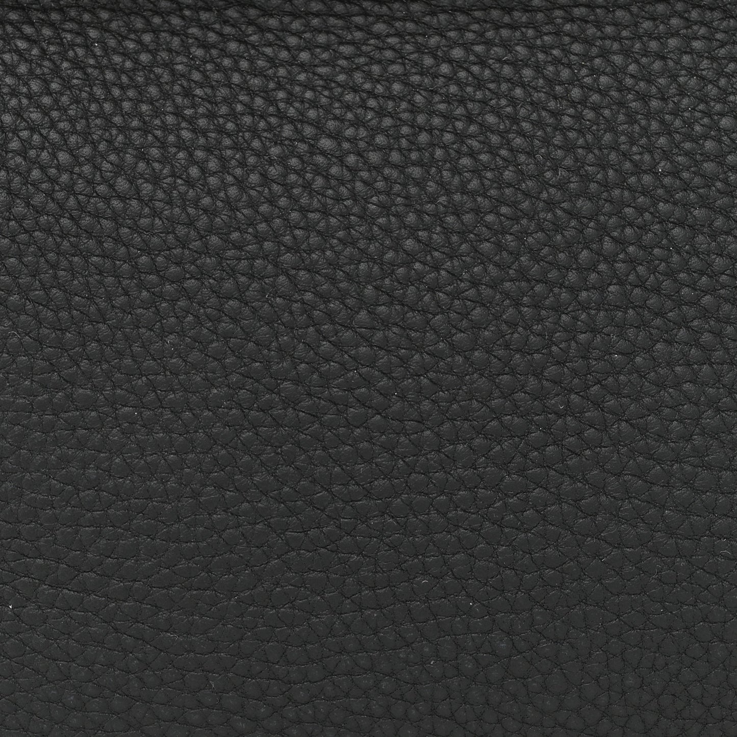Togo Matte Alligator Swift Touch 24/24 29 Black Nata Gold
