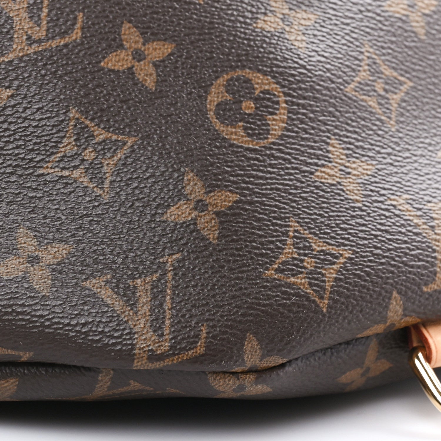 Louis Vuitton Monogram Bumbag 7 of 9