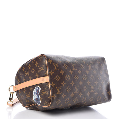 Louis Vuitton Monogram World Tour Speedy Bandouliere 30 4 of 14