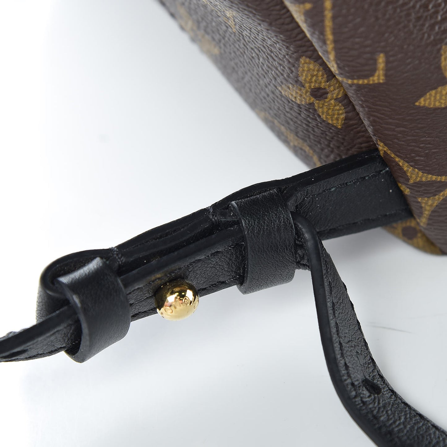 Monogram Palm Springs Backpack PM