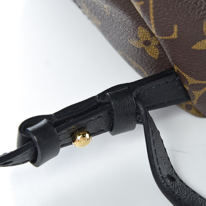 Louis Vuitton Monogram Palm Springs Backpack PM 11 of 13