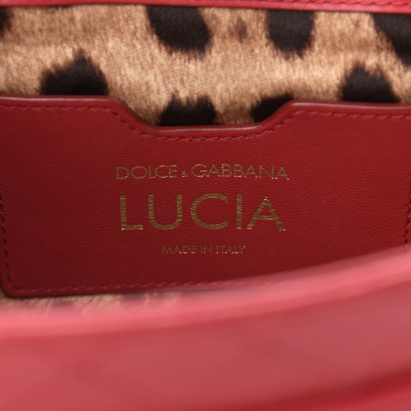 Lambskin Watersnake Embellished Lucia Shoulder Bag Red
