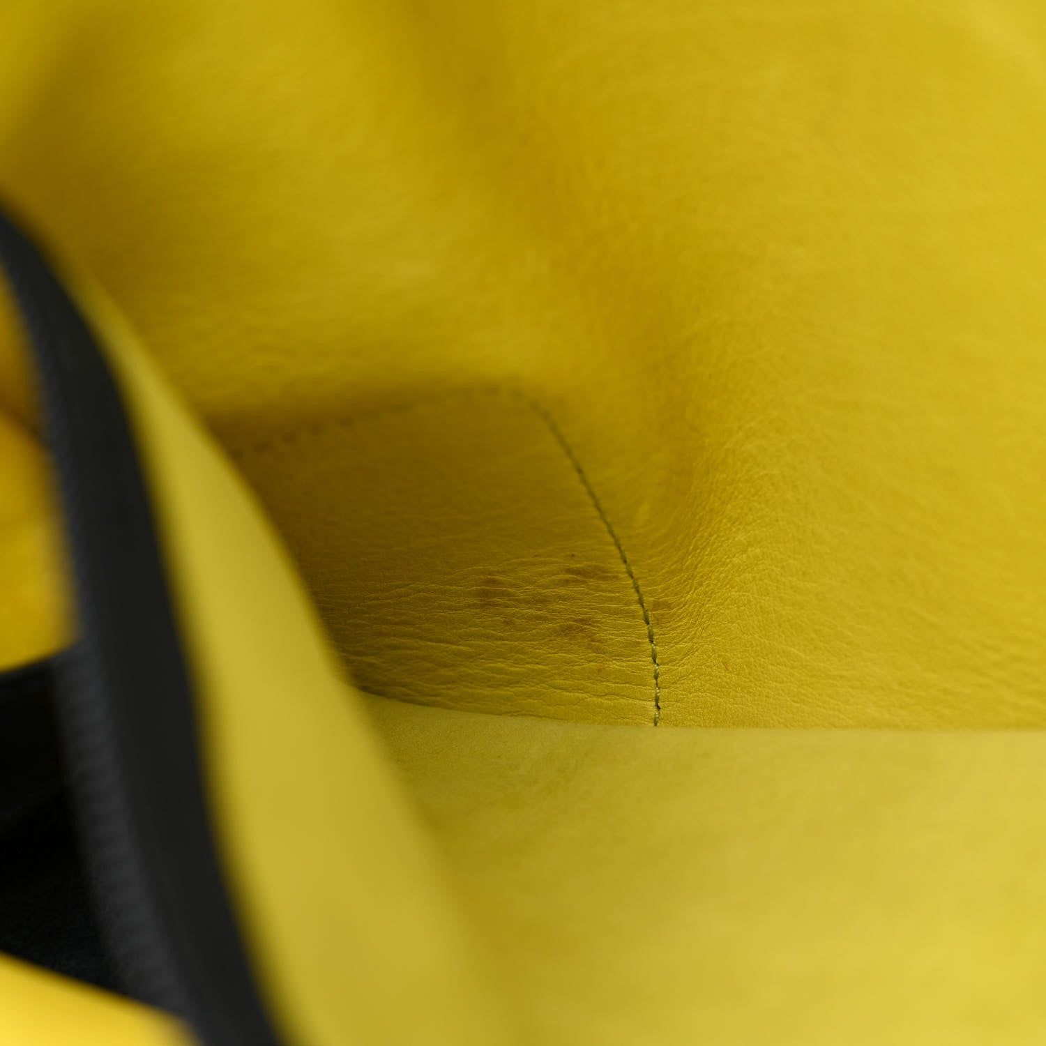 Loewe Suede Calfskin Amazona Yellow Black 6 of 15