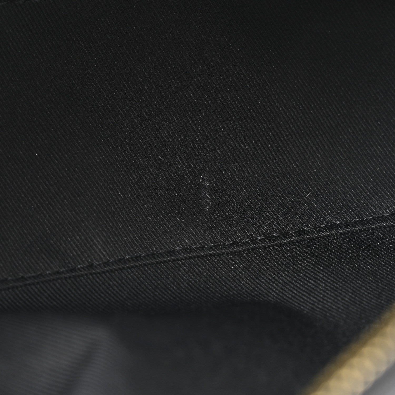 Louis Vuitton Damier Ebene Santa Monica Black 11 of 11