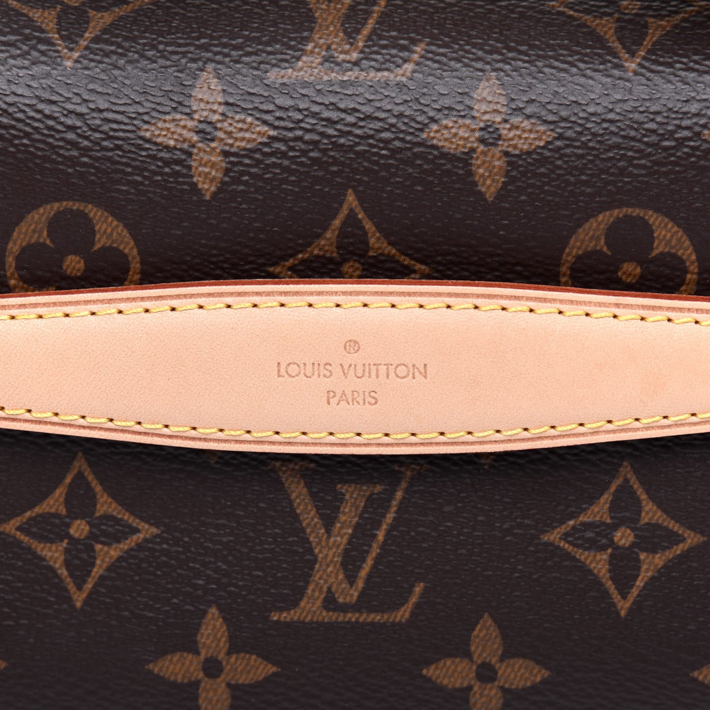 Monogram Bumbag