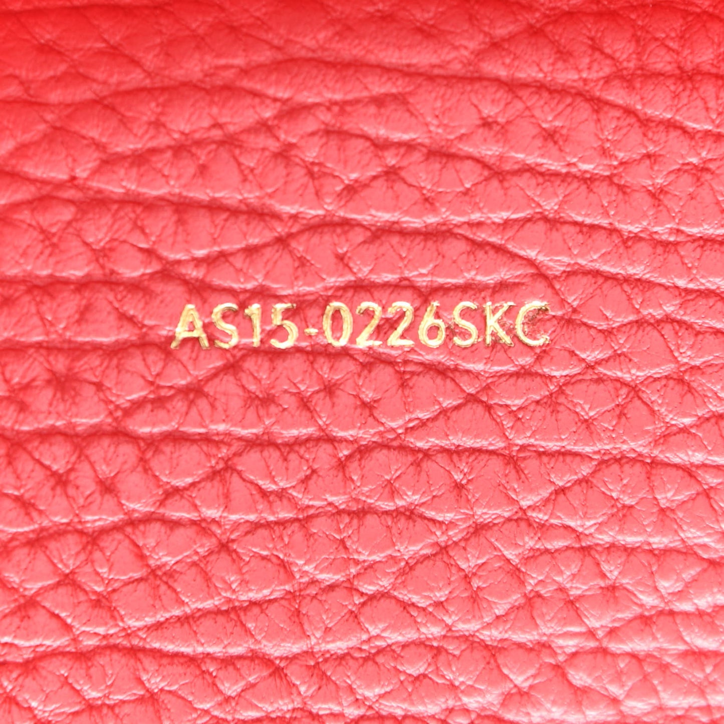 Textured Calfskin Mini Pashli Satchel Red