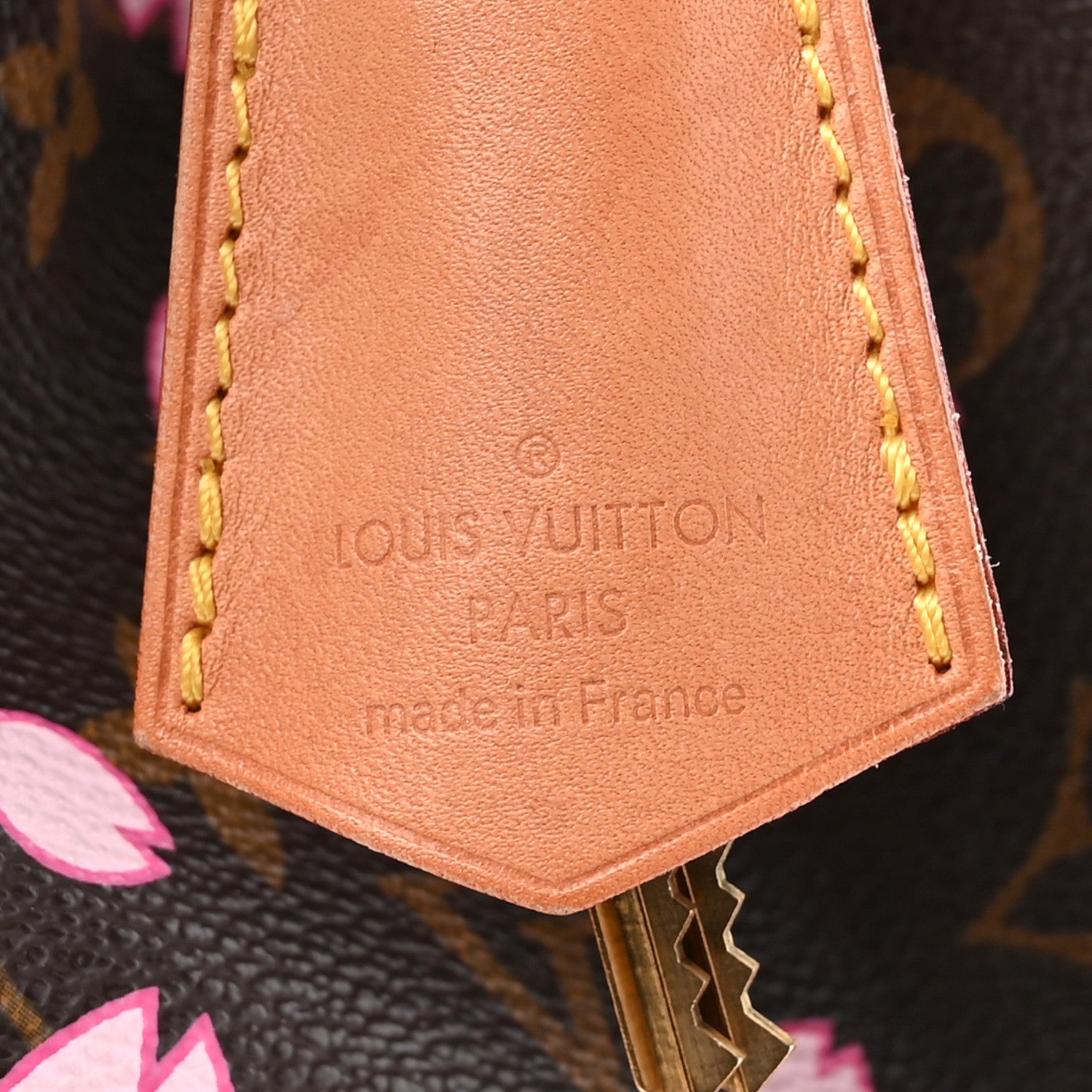 Louis Vuitton Monogram Cherry Blossom Sac Retro Bag Brown 7 of 12