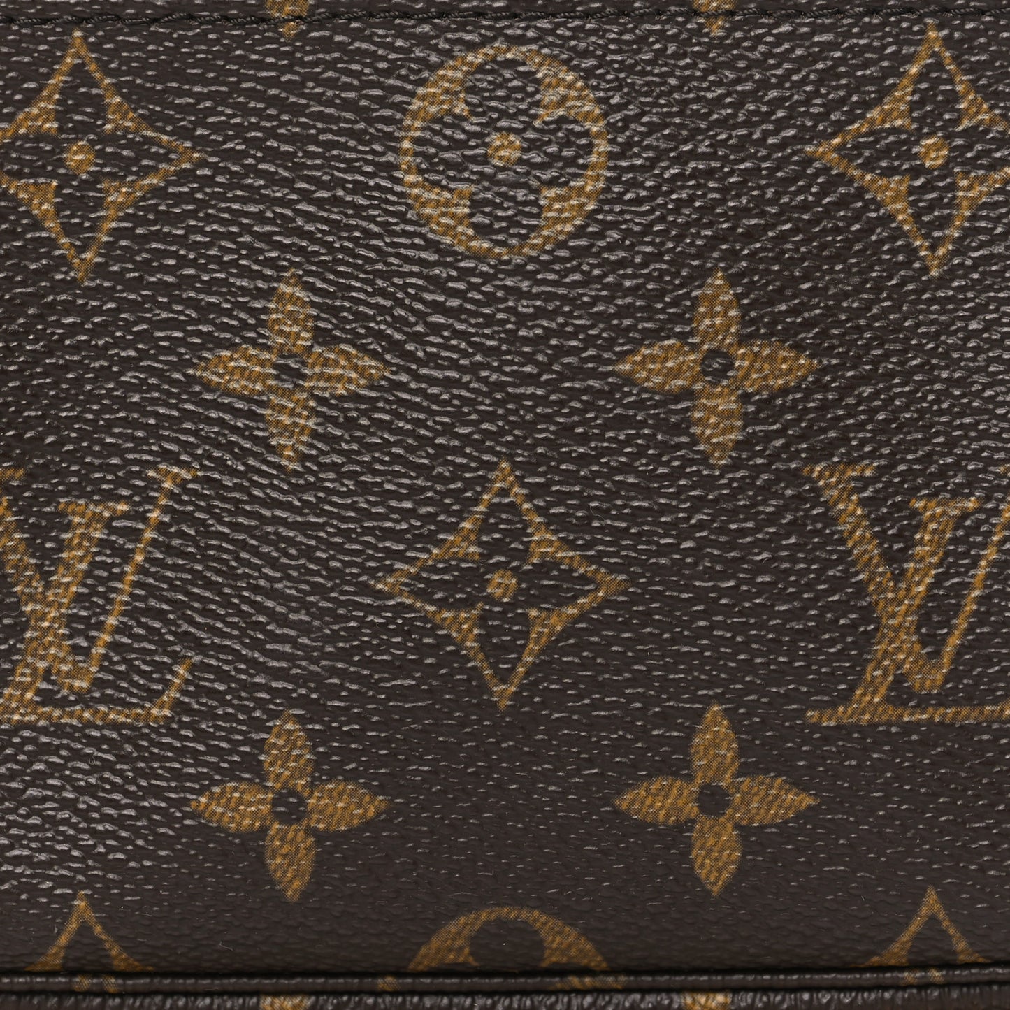 Monogram Mini Pochette Accessories