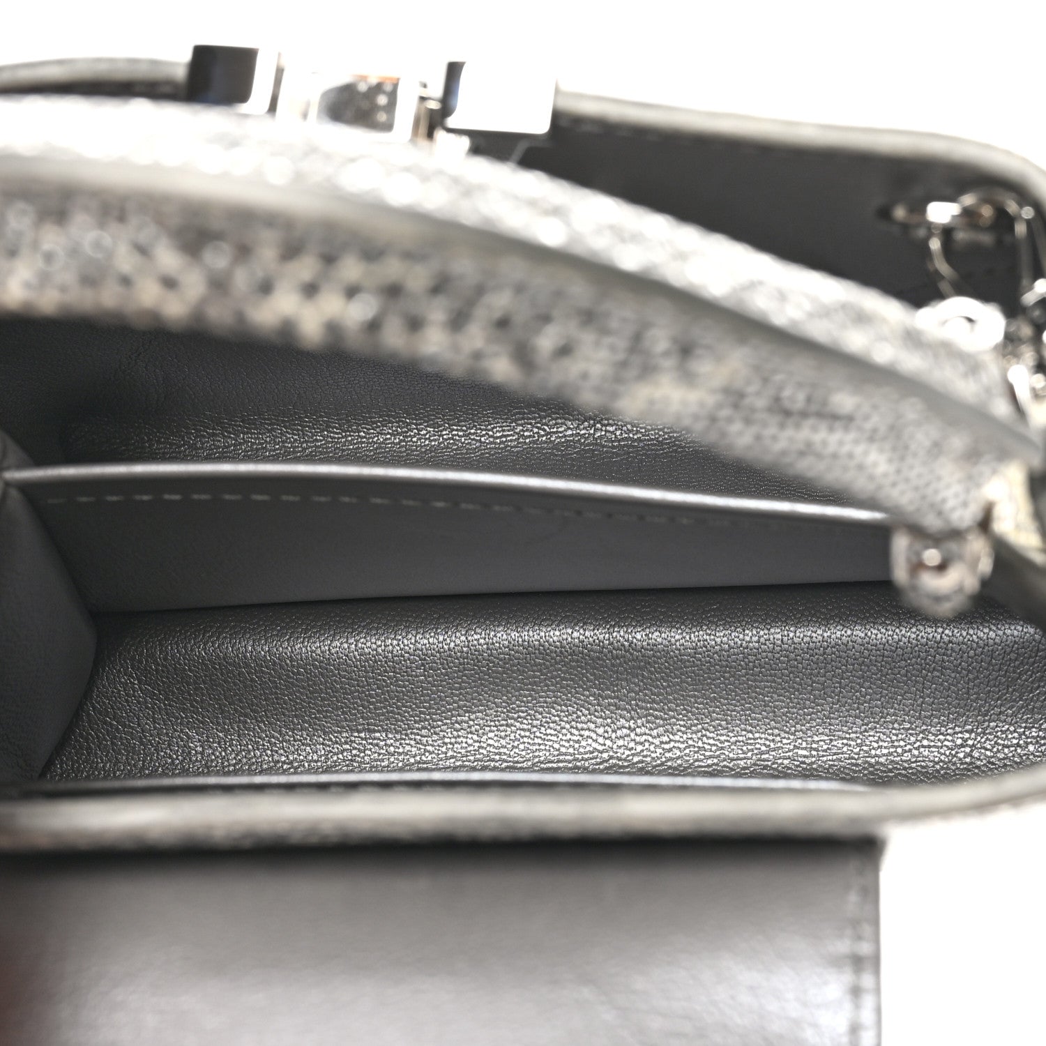 Louis Vuitton Lizard Mini Capucines Argento 6 of 10