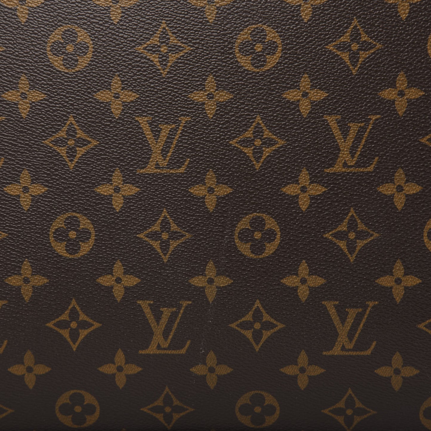 Monogram Pegase 55 Business