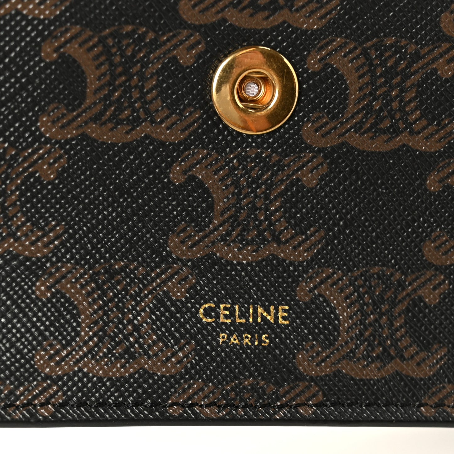 Triomphe Canvas Lambskin Wallet On Strap Tan