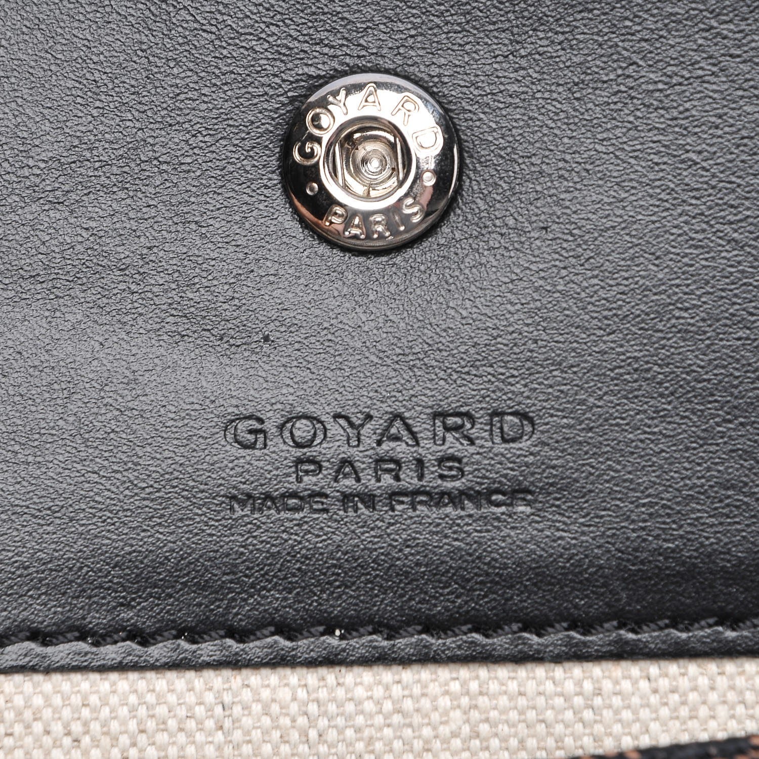 Goyard Goyardine Saint Louis PM Black 9 of 10