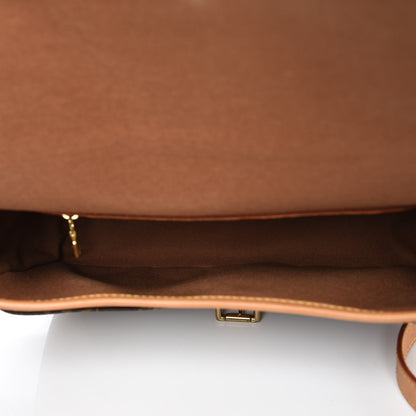 Louis Vuitton Monogram Sologne 5 of 13