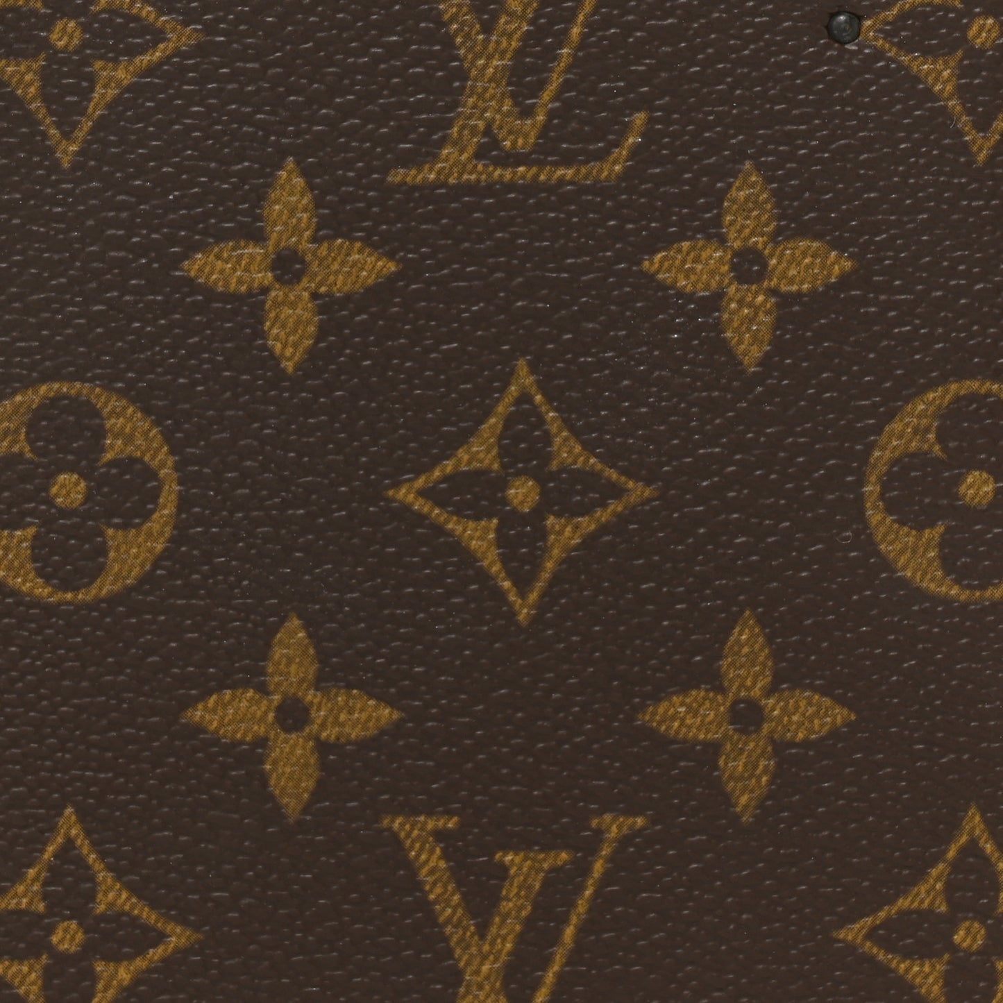 Monogram Boite Bouteilles et Glace Beauty Train Case
