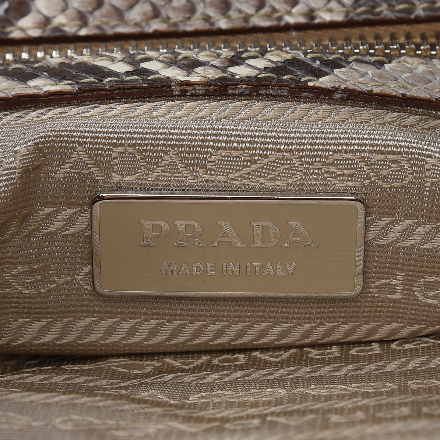 Python Logo Hobo Roccia