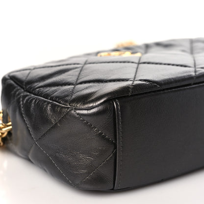 Chanel Metallic Calfskin Pearl Quilted CC Mini Camera Case Ruthenium 8 of 9