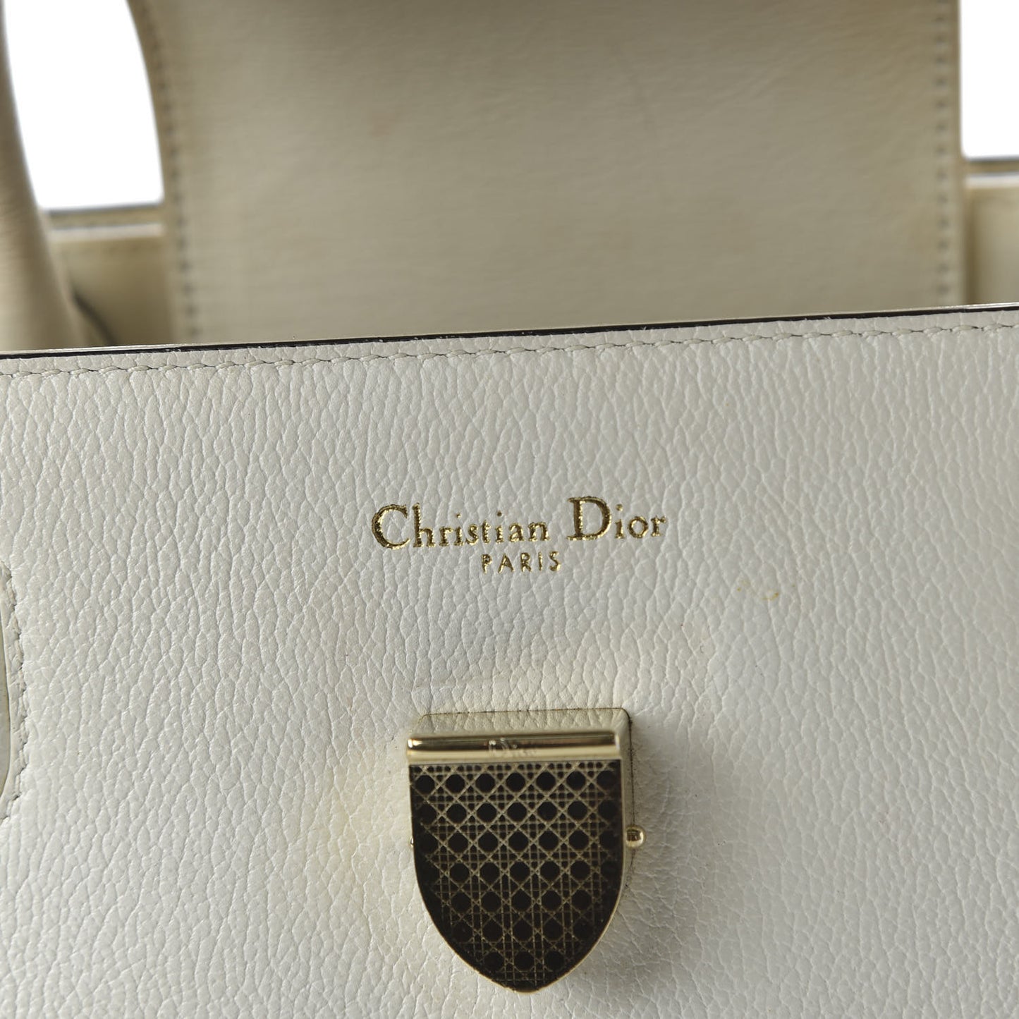 Goatskin Medium Diorever Flap White