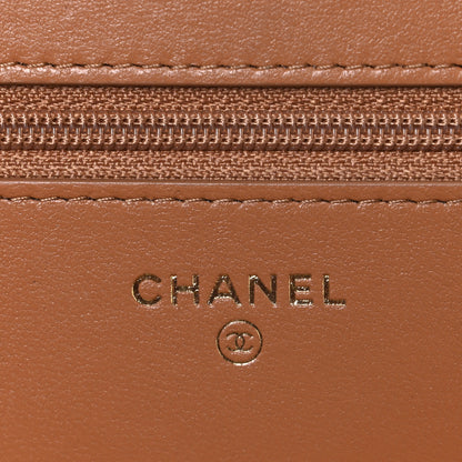 Chanel Lambskin Quilted Chanel 19 Wallet On Chain WOC Brown 6 of 12
