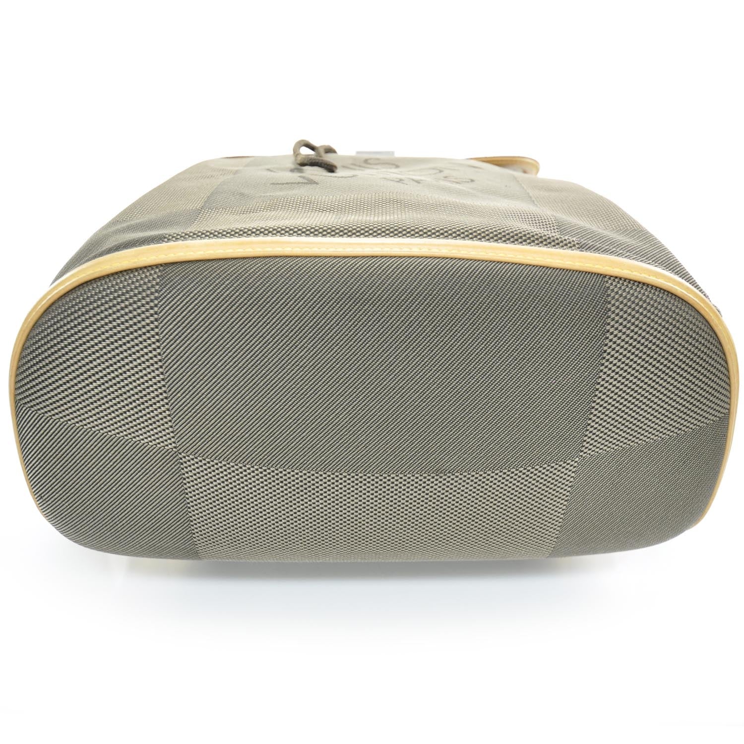 Louis Vuitton Damier Geant Pionnier Backpack Terre 3 of 8