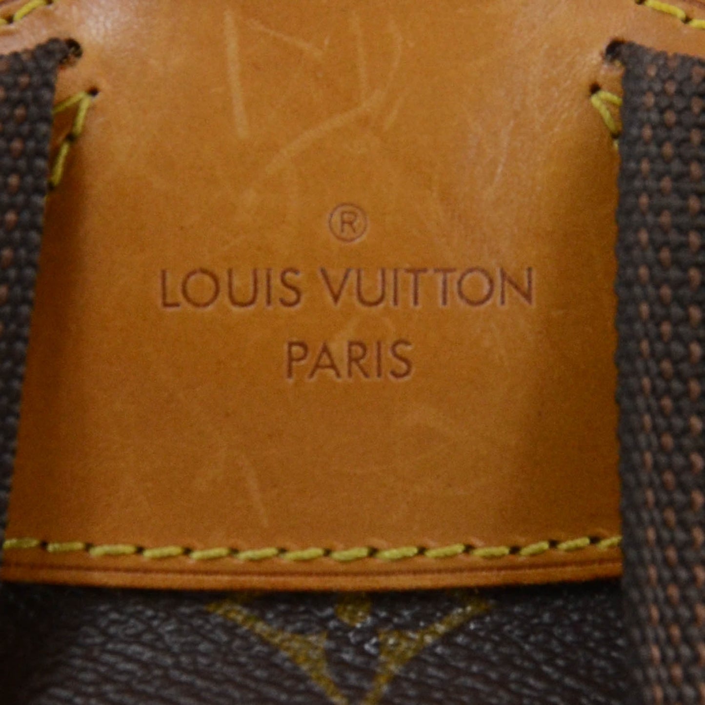 Monogram Montsouris GM Backpack