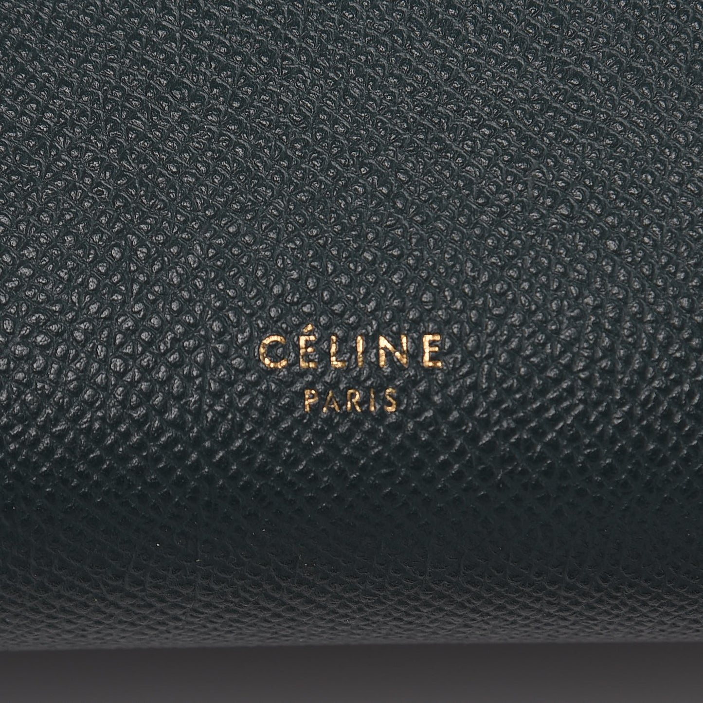 Baby Grained Calfskin Micro Belt Bag Amazone
