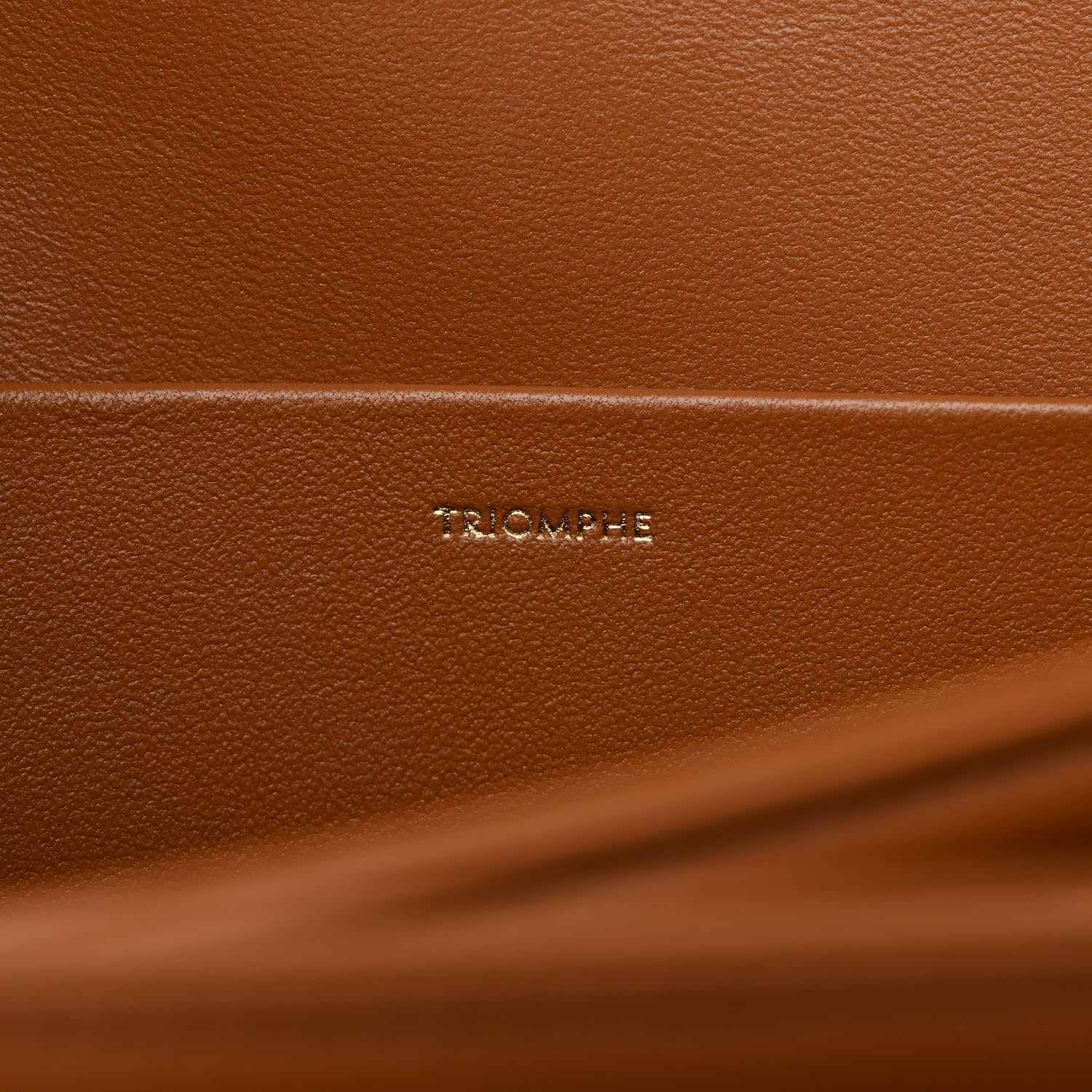 Celine Triomphe Canvas Calfskin Medium Triomphe Bag Tan 9 of 13