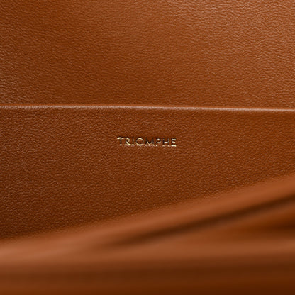 Celine Triomphe Canvas Calfskin Medium Triomphe Bag Tan 9 of 13