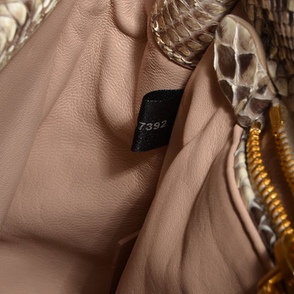 Prada Python Frame Bag Roccia 9 of 10