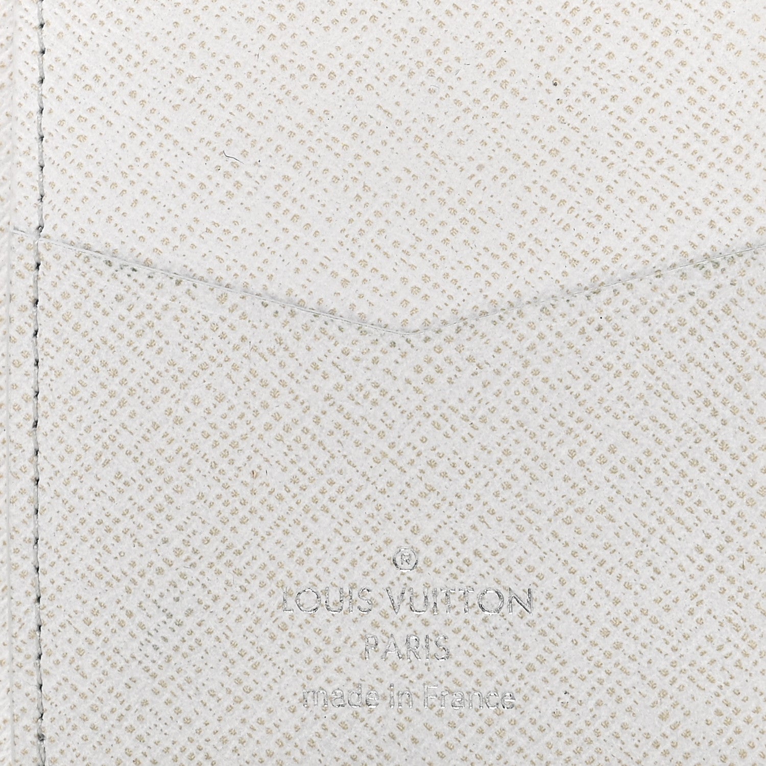Louis Vuitton Taigarama Pocket Organizer NM Antartica 6 of 8