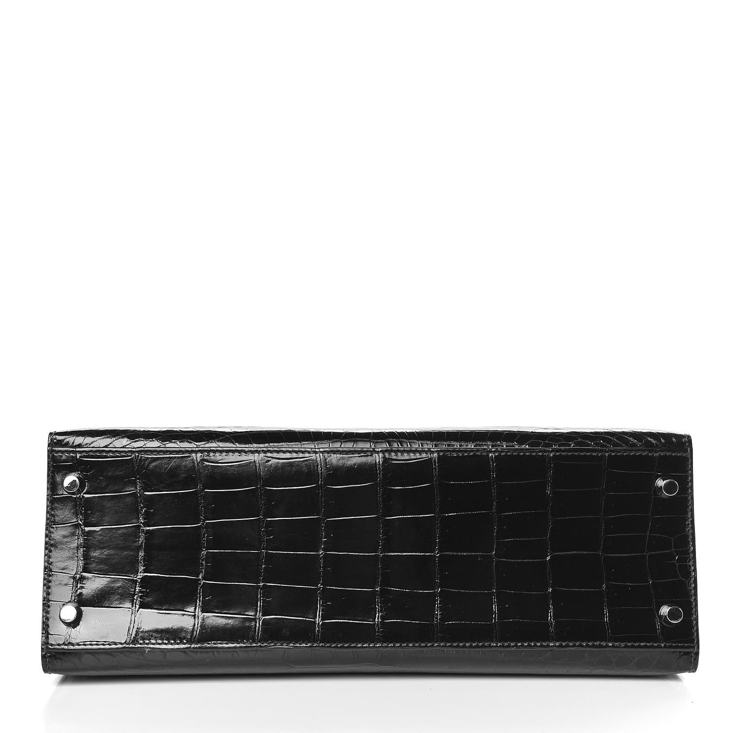 Shiny Niloticus Crocodile Kelly Sellier 32
