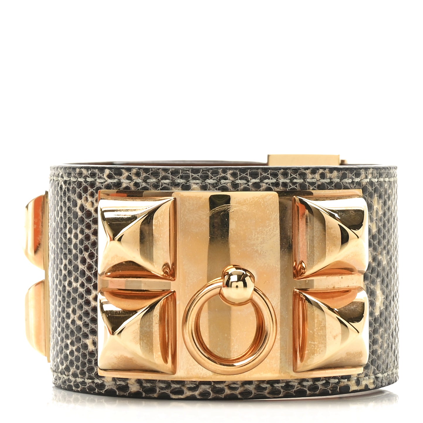 Lizard Collier De Chien CDC Bracelet T2 Ombre