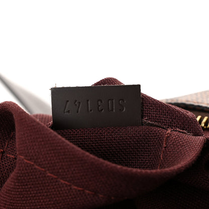 Louis Vuitton Damier Ebene Iena PM 7 of 10