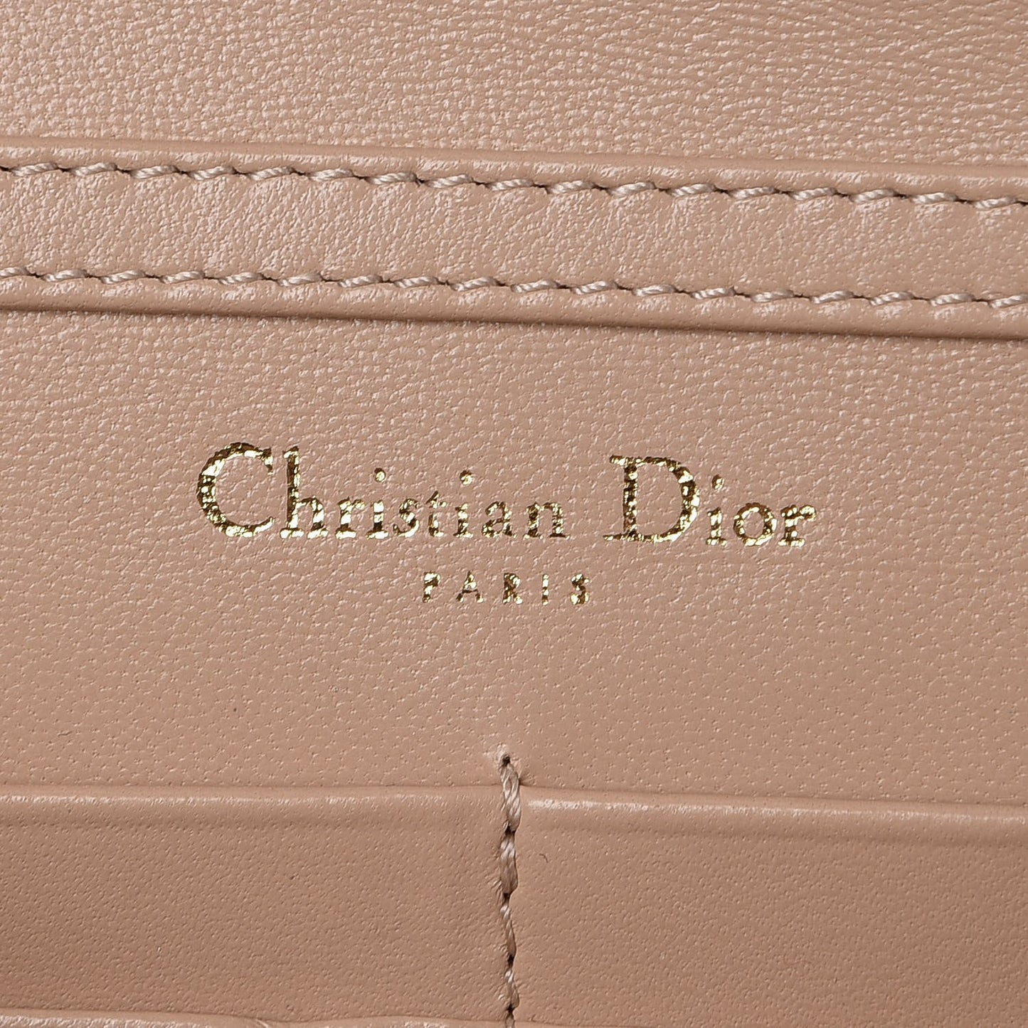 Grained Calfskin Diorama Wallet on Chain Pouch Nude