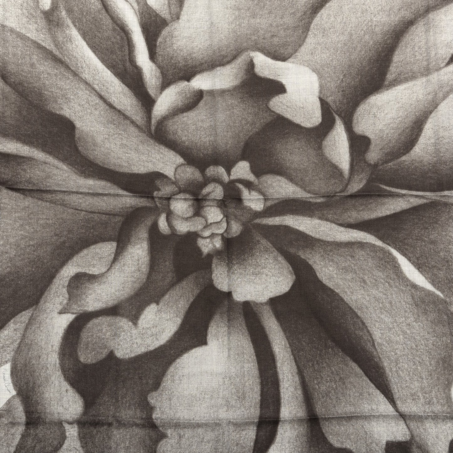 Cashmere Silk Une Rose Pour Alma Shawl 140 Gris Chine Sepia