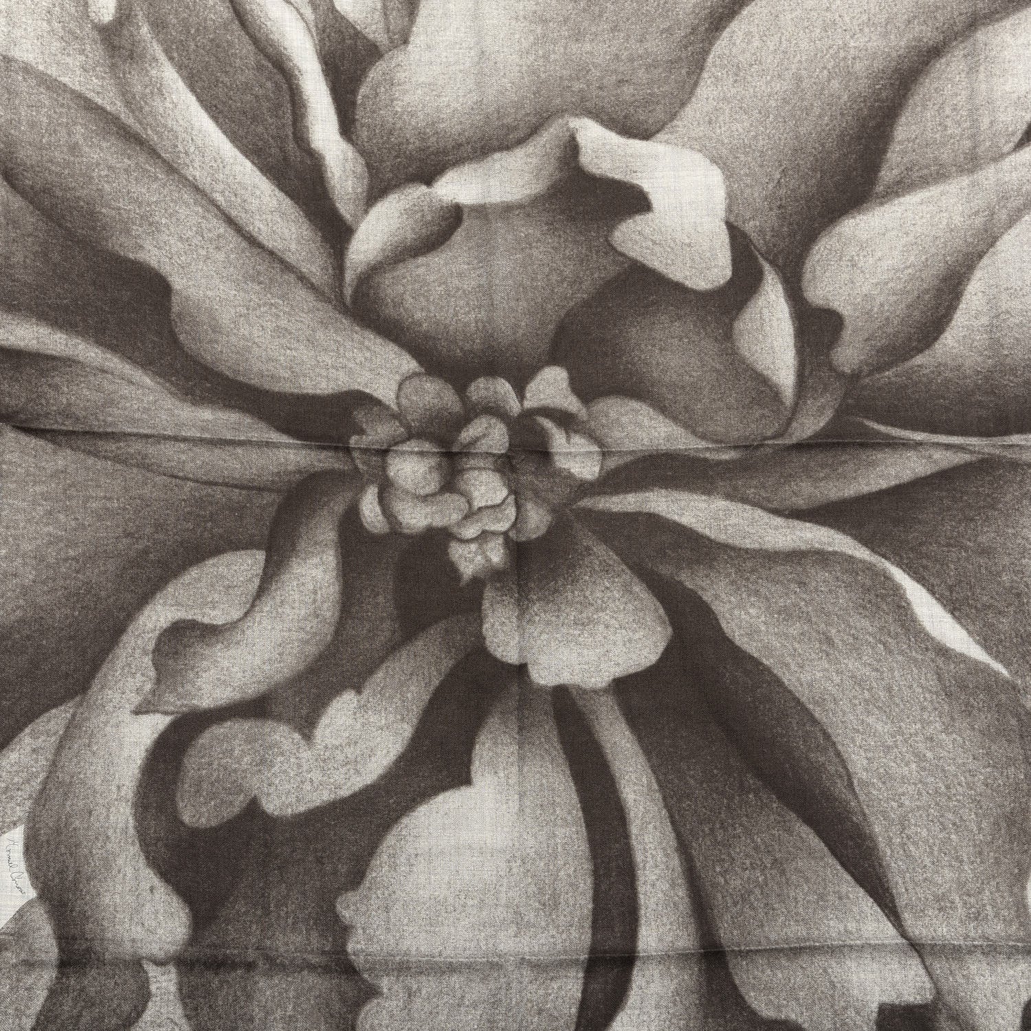 Hermes Cashmere Silk Une Rose Pour Alma Shawl 140 Gris Chine Sepia 3 of 5