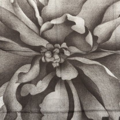 Hermes Cashmere Silk Une Rose Pour Alma Shawl 140 Gris Chine Sepia 3 of 5