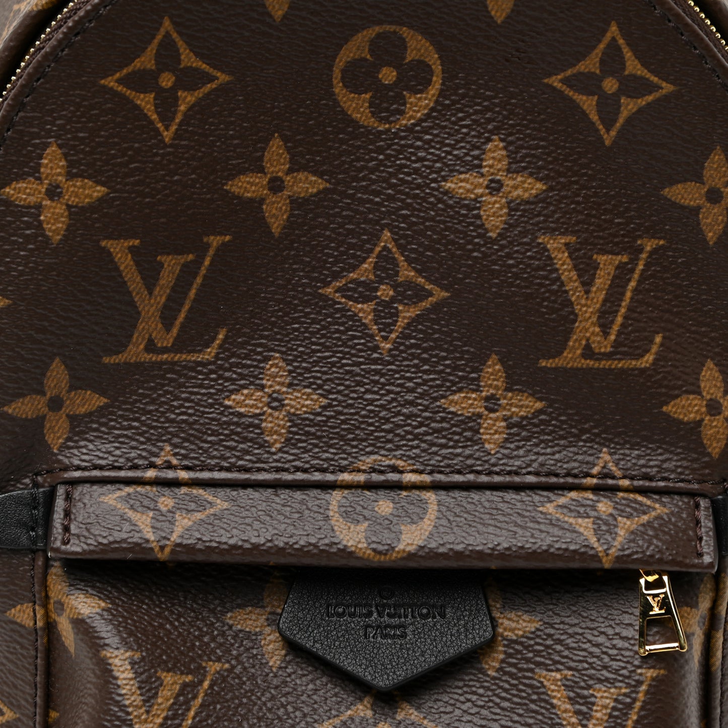 Monogram Palm Springs Backpack Mini