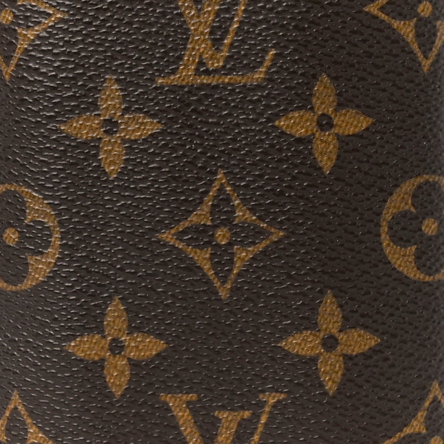 Monogram Sunglasses Case MM